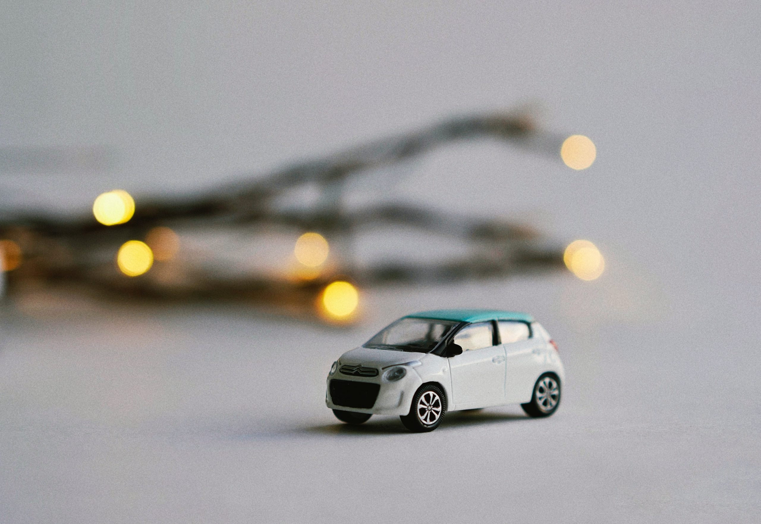 olena-sergienko-dauLjWjiRiI-unsplash