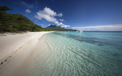 Séminaire commercial : cap sur la performance et le développement